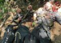 pahalgam attacks